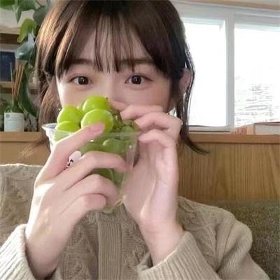 苍蝇之母